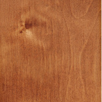 Старый орех 1